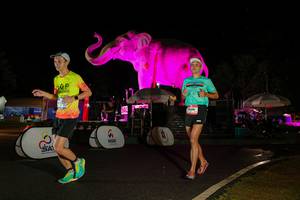 BIB: 
                            <button type="button" onclick="openModal(26535368)" class="btn btn-primary btn-sm float-right btn-popup" data-toggle="modal" data-target=".modal-high-quality">
                        <i class="fas fa-shopping-cart"></i> Add to Cart
                    </button>
                                            <button type="button" onclick="isThisMe(26535368, true)" class="btn btn-success btn-sm float-right btn-popup btn-isme hidden" data-toggle="tooltip" data-placement="bottom" title="นี่คือรูปของคุณใช่ไหม คลิกที่นี่เพื่อเอาเข้าอัลบั้ม">
                        <i class="fas fa-plus"></i> Add to album
                    </button>
                    <button type="button" onclick="isThisMe(26535368, false)" class="btn btn-warning btn-sm float-right btn-popup btn-isnotme hidden">
                        <i class="fas fa-ban"></i> Remove from album
                    </button>